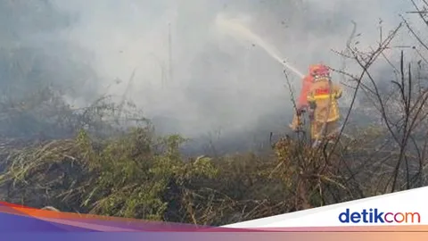 Cengal, Pangkalan Lampam dan Tulung Selapan Jadi Sumber Asap Menuju Palembang